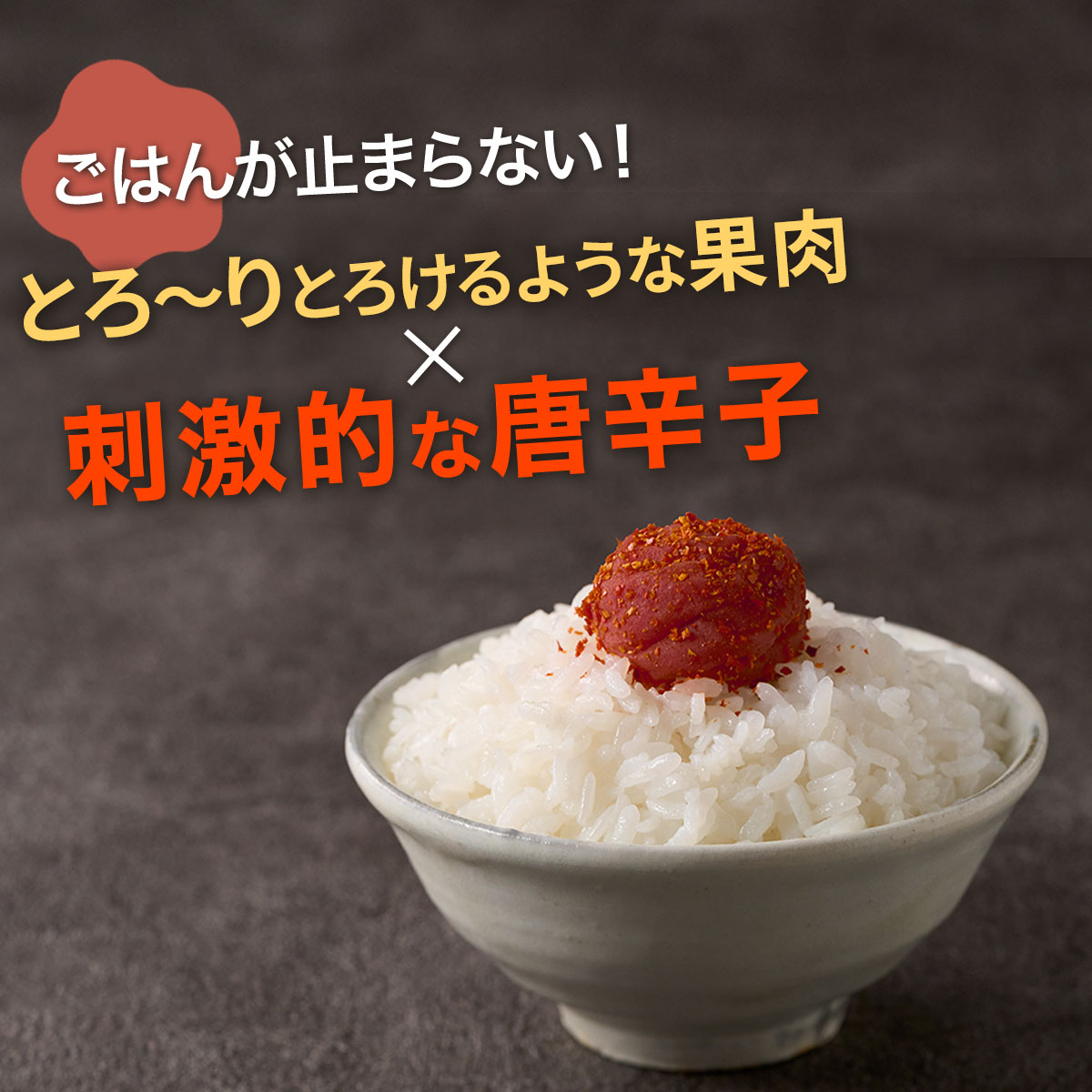 2025ご飯が止まらない04