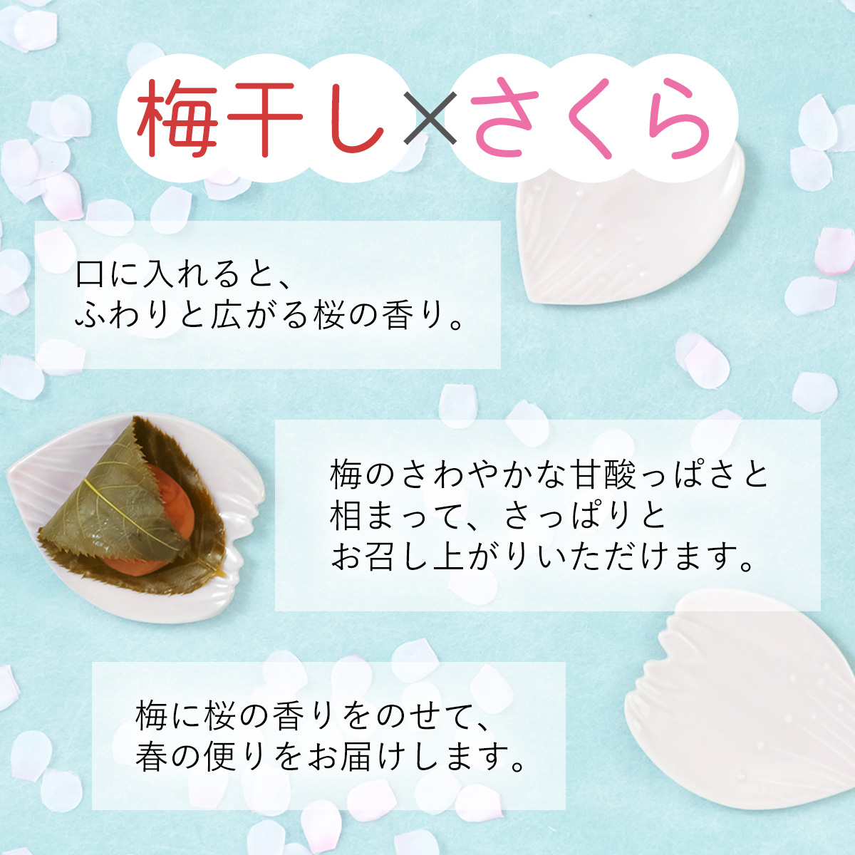 3梅干し×さくら