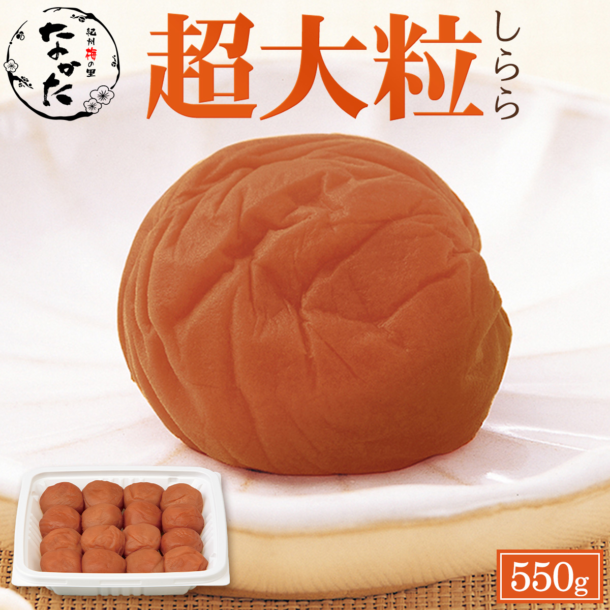 【5000円値引き中】栄養士まとめセット　計20冊セット！バラ売可能 値引き中】栄養士まとめセット 計20冊セット！バラ売可能 【公式通販】