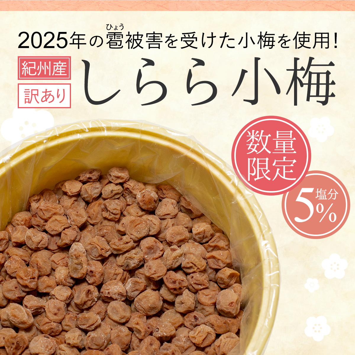 【完売しました】梅干し 訳あり しらら小梅 6...の詳細画像1