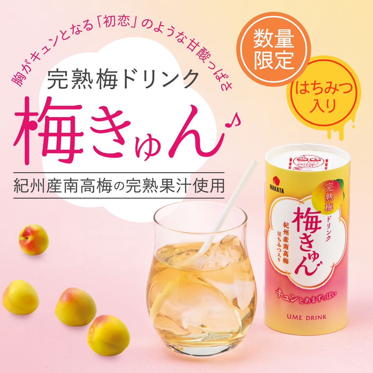 中田食品 梅ジュース 完熟梅ドリンク 梅きゅん ギフト 和歌山県産 紀州