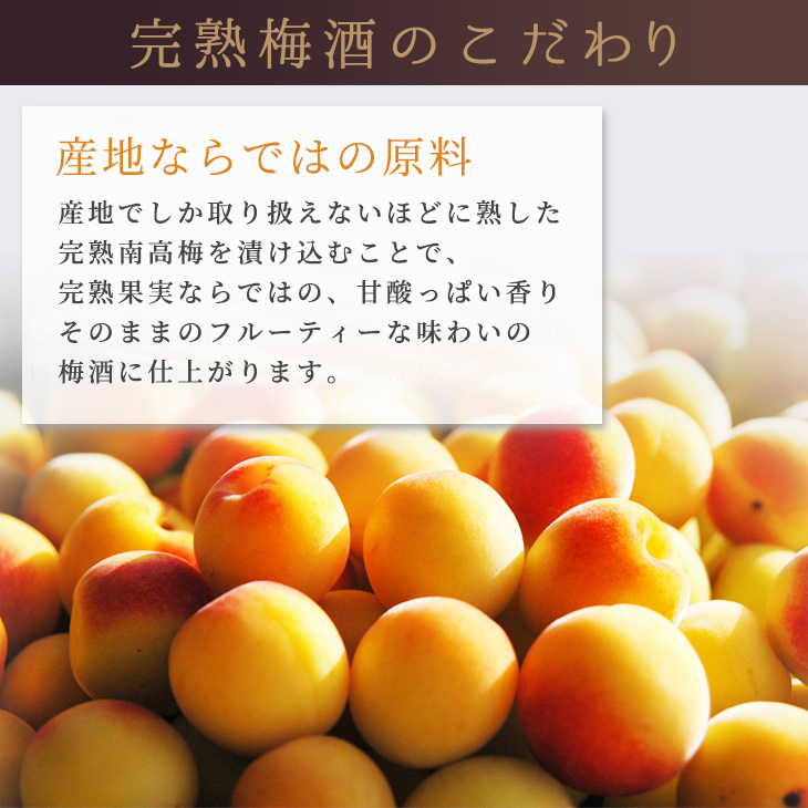 完熟梅