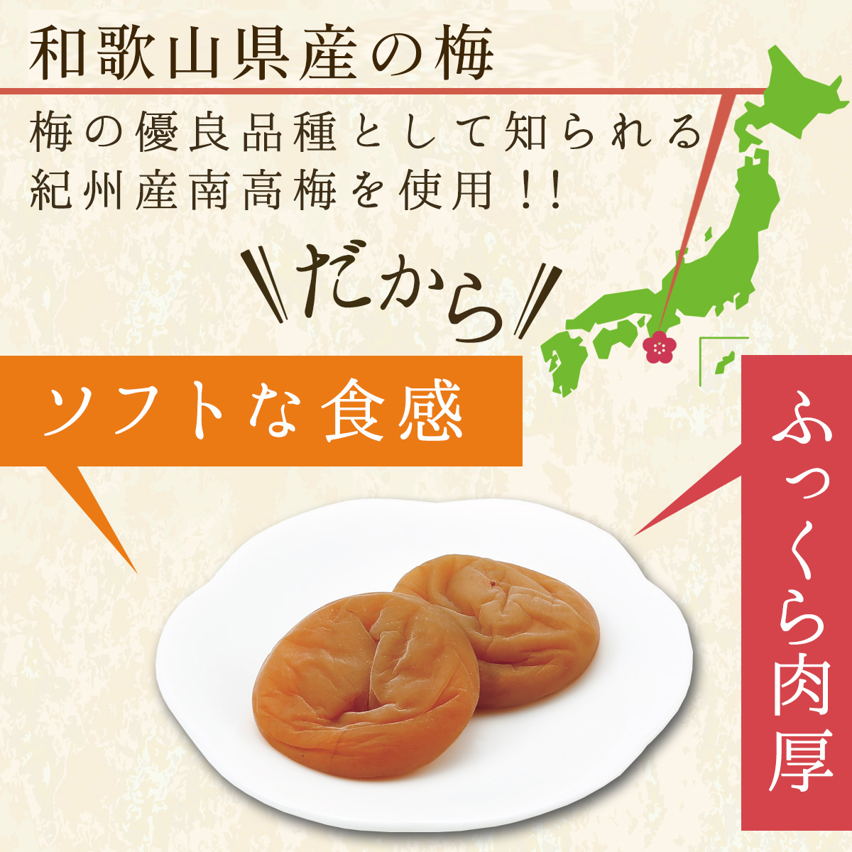 干し梅 個包装 国産 種ぬきほし梅 120g 中田食品 紀州南高梅 おやつ お菓子 種なし 和歌山県産 人気 | 中田食品 | 01