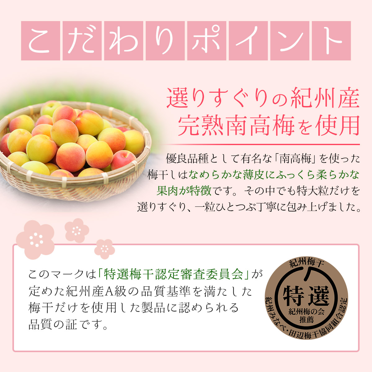 梅干し ギフト 紀州産 南高梅 しらら 12粒 中田食品 個包装 うめぼし 梅干 減塩 塩分5% 人気 送料込み 包装あり :22154:紀州梅の里なかた  Yahoo!店 - 通販 - Yahoo!ショッピング