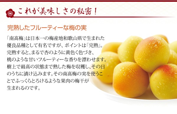 ギフト 梅干し 紀州産 南高梅 しらら 木箱 580g 中田食品 高級 うめぼし 梅干 減塩 塩分5％ 包装あり 数量限定 :2054:紀州梅の里なかた  Yahoo!店 - 通販 - Yahoo!ショッピング