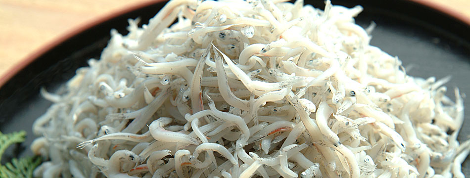 土佐しらす屋 中田遊亀商店