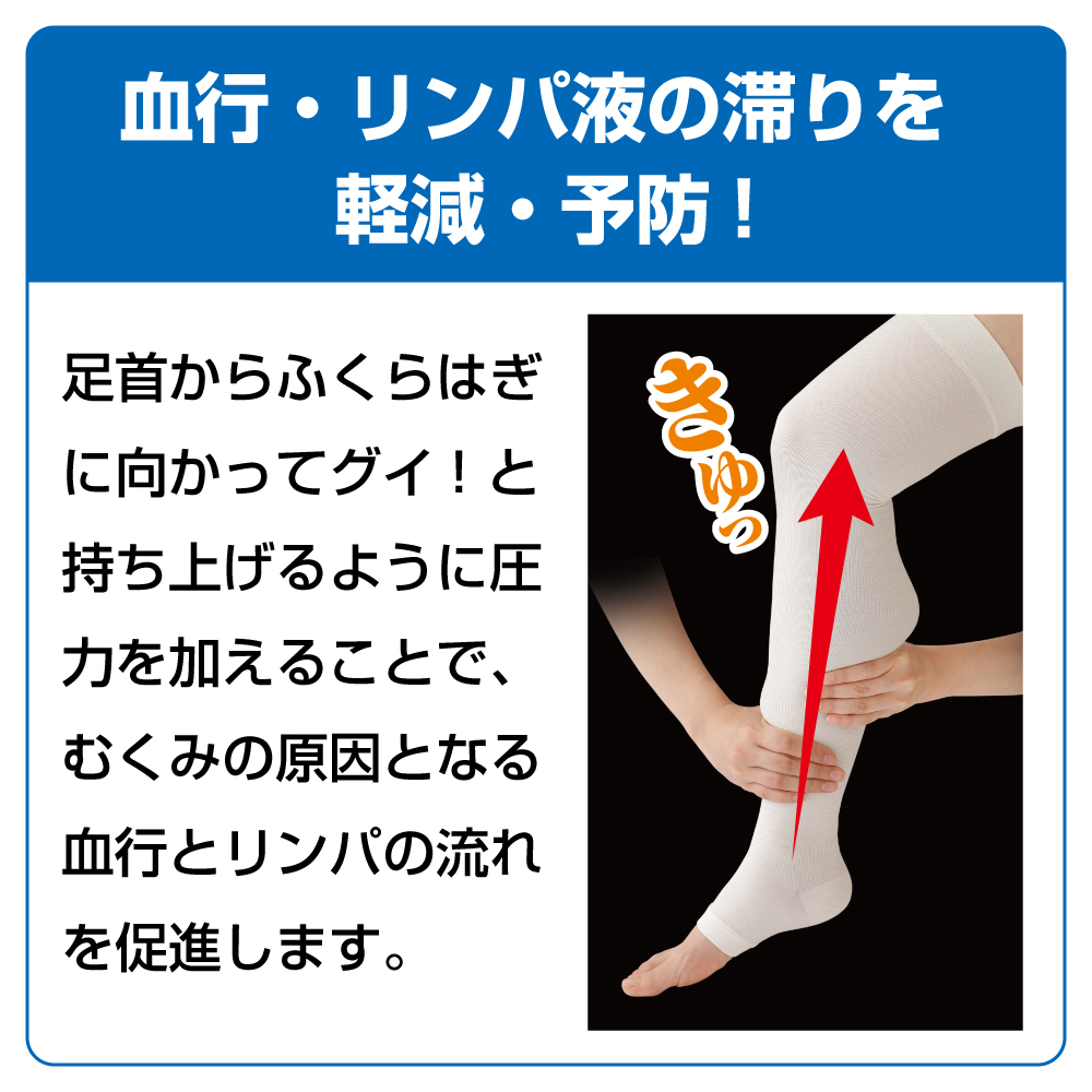 むくみ 着圧 サポーター 血行 医療用 シルク 着圧 下肢静脈瘤 一般医療用サポーターシルク混ギュギュット2枚組 オフホワイト 薄手 肌 着圧ソックス デスクワーク