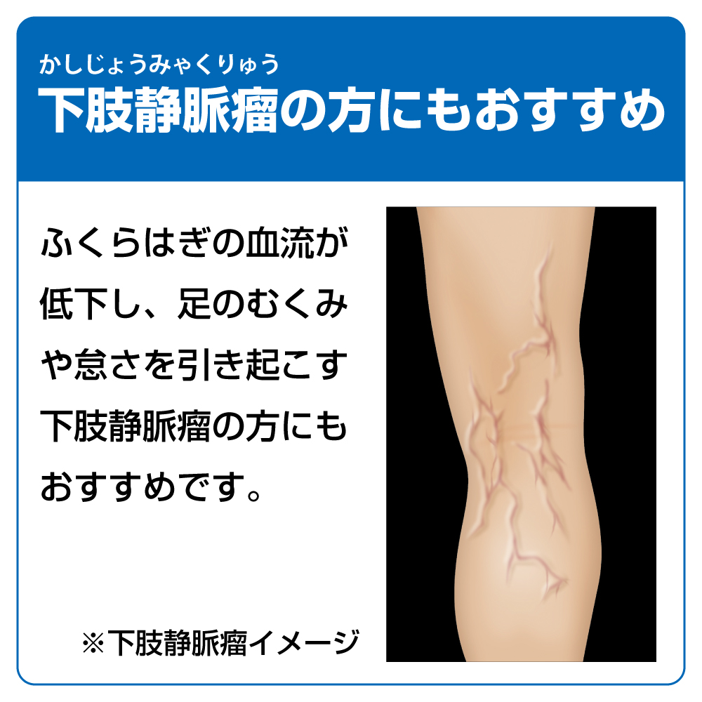 むくみ 着圧 サポーター 血行 医療用 シルク 着圧 下肢静脈瘤 一般医療用サポーターシルク混ギュギュット2枚組 オフホワイト 薄手 肌 着圧ソックス デスクワーク
