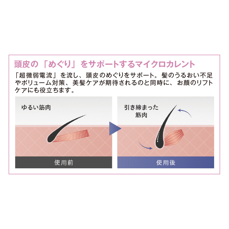EMS ヘアブラシ WAVEWAVE ブラッシュエアー クッションブラシ スカルプ