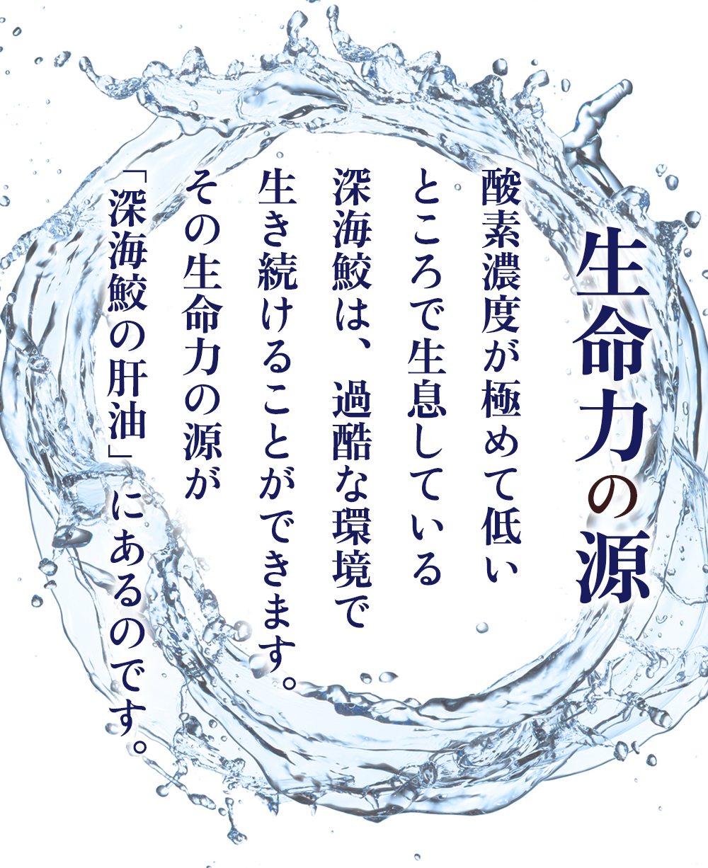 中山式 深海鮫エキス since1987 日本製 スクワレン 深海鮫 肝油 高純度