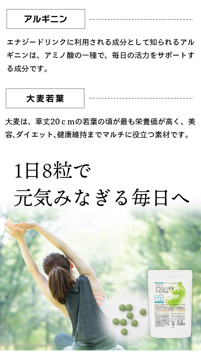 中山式 magico アリシンEX マカプラス 90日分 約3か月 国産にんにく