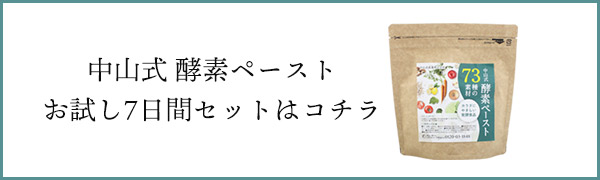 酵素 発酵 ペースト 野草 果物 野菜 中山式 酵素ペースト 30日分 野菜