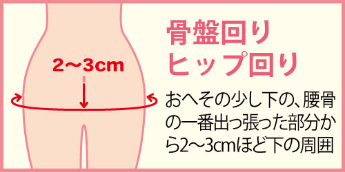 骨盤回りとは