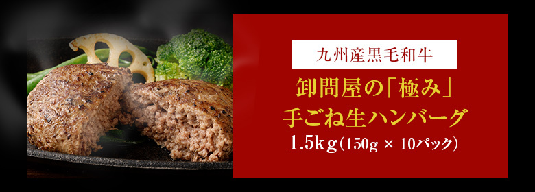 卸問屋のこだわり 手ごね 生ハンバーグ 10個入 送料無料 1kg 100g×10個 網焼きハンバーグ 冷凍 :set-012:総合食肉卸中山家 -  通販 - Yahoo!ショッピング