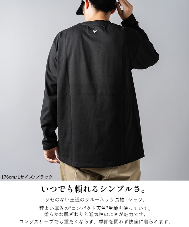 sn-nsd-ts-25au005_3.jpg