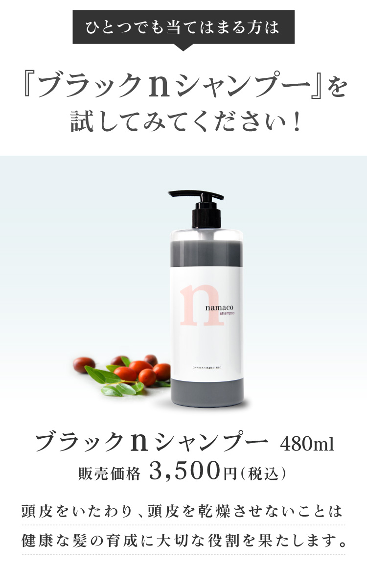 ブラックnシャンプー 480ml アミノ酸系シャンプー 保湿 頭皮の乾燥