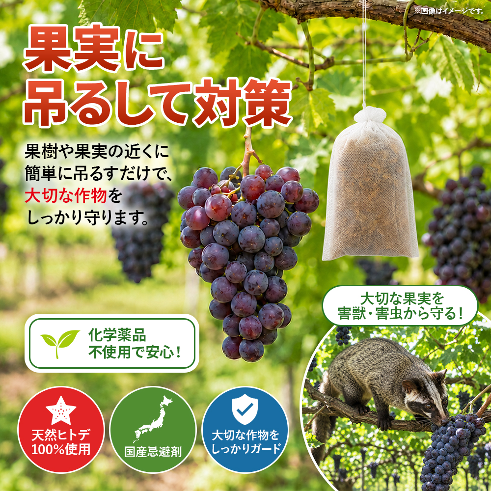 ヒトデ 忌避剤 100g×3パック入り 吊るすだけ簡単設置 国産天然ヒトデ100% イノシシ カラス ネズミ ハクビシン 害獣対策 害虫対策 関連画像3