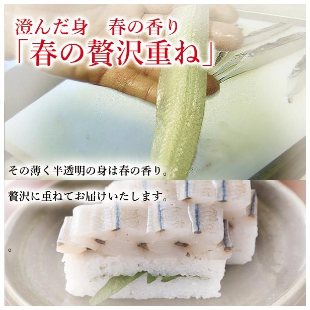 955円 かわいい新作 お中元 22 ギフト 活平目の昆布〆 北陸の伝統 昆布