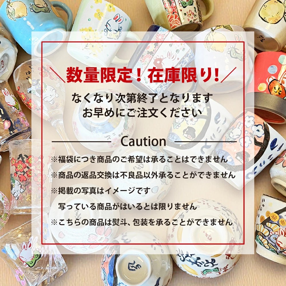 送料無料 特価】先着限定品 日用食器ペアセット福袋 （和）YF017 : 名