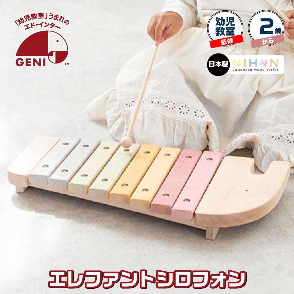 エド・インター（Ed・Inter） 知育玩具 楽器おもちゃ 2歳 国産 男の子 