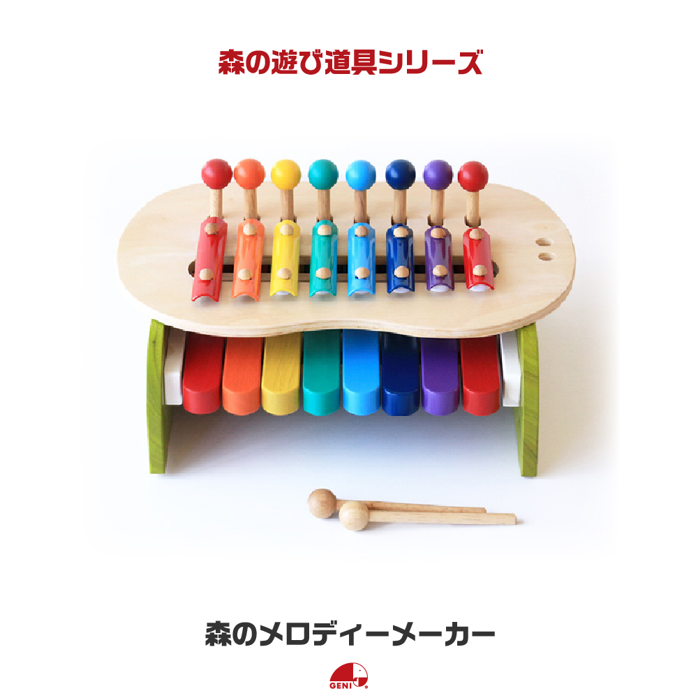 エド・インター（Ed・Inter） お片付袋付 楽器おもちゃ 1歳 知育玩具 2