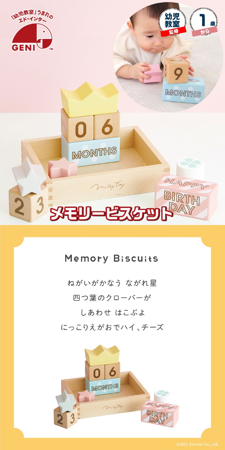 エド・インター（Ed・Inter） おもちゃ 1歳 知育玩具 男の子 女の子