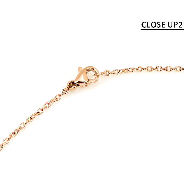 DANIEL WELLINGTON ダブルリングペンダント ネックレス 超美品 Daniel Wellington ダニエルウェリントン ネックレス ペンダント
