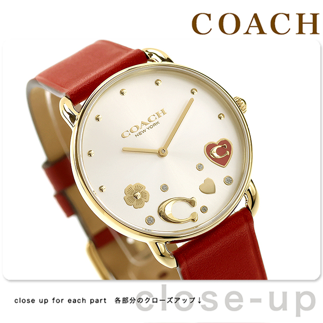 14504520-a.jpg