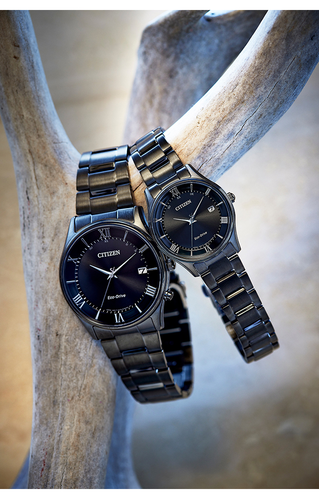 CITIZEN COLLECTION シチズン コレクション ペアモデル 光発電