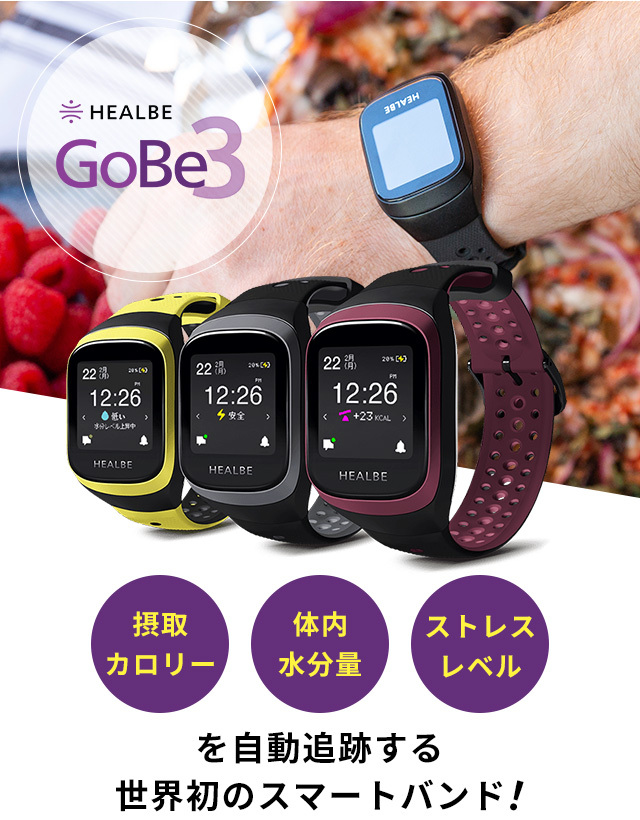 HEALBE GoBe3 ゴービー3 スマートウォッチ ユニセックス ヒルビー