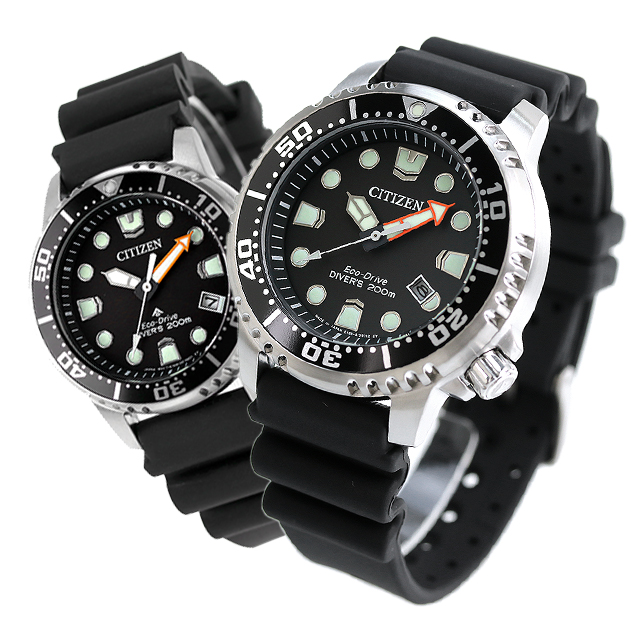 pair-citizen102