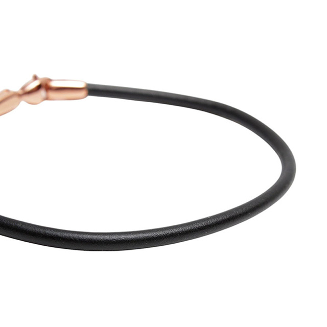 ブレスレット Daniel Wellington Leather Bracelet S 175mm DW00400715 Daniel Wellington ダニエルウェリントン DANIEL WELLINGTON
