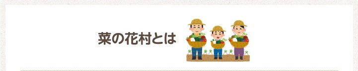 菜の花村とは 菜の花村ヤフーショップ 通販 Yahoo ショッピング