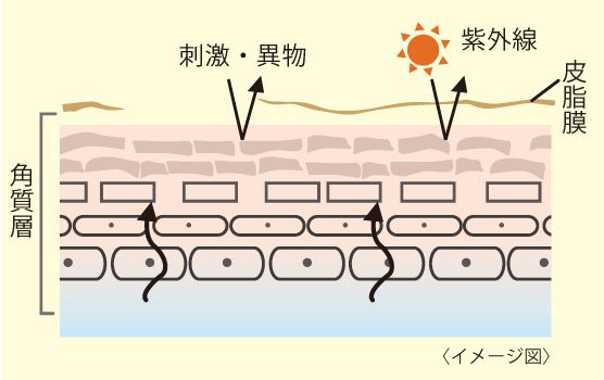 潤った肌