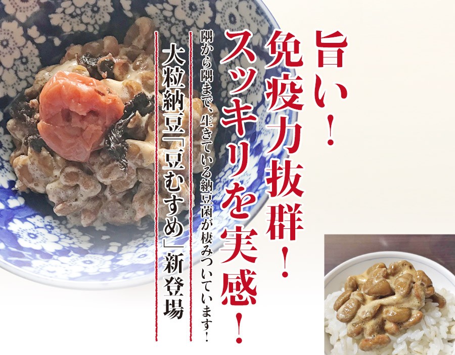 激安直営店大粒納豆「豆むすめ」(90g×10個) 納豆