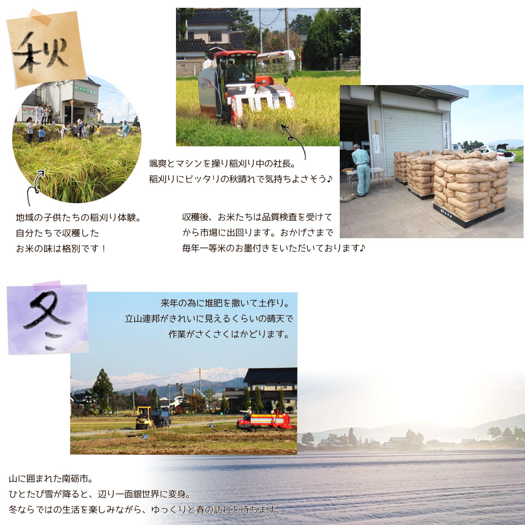 コシヒカリ 新米 令和6年度産 こしひかり 富山県産 5kg 普通米