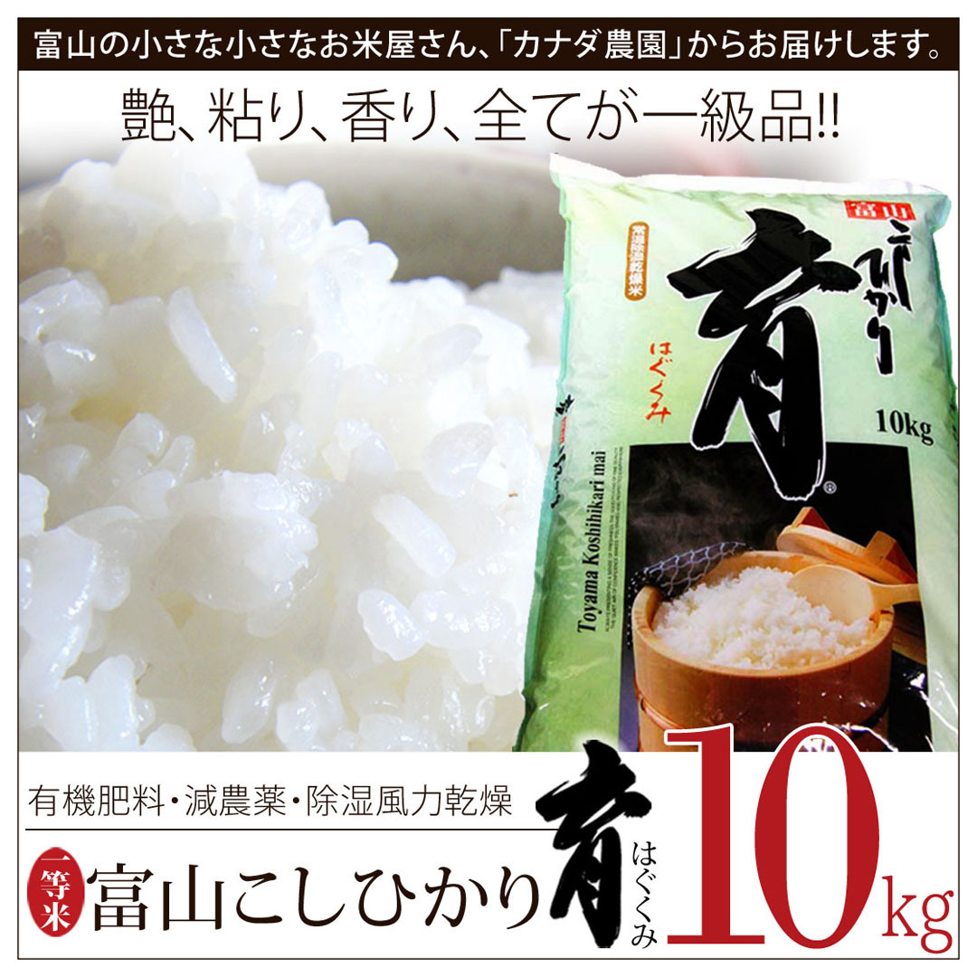 新米 令和4年度産 こしひかり コシヒカリ 富山県産 10kg 普通米 無洗米 育 はぐくみ 　メーカー直送品