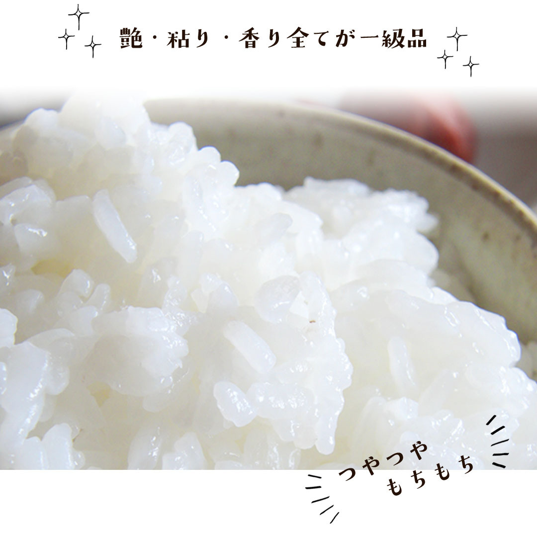 新米 令和4年度産 こしひかり コシヒカリ 富山県産 10kg 普通米 無洗米 
