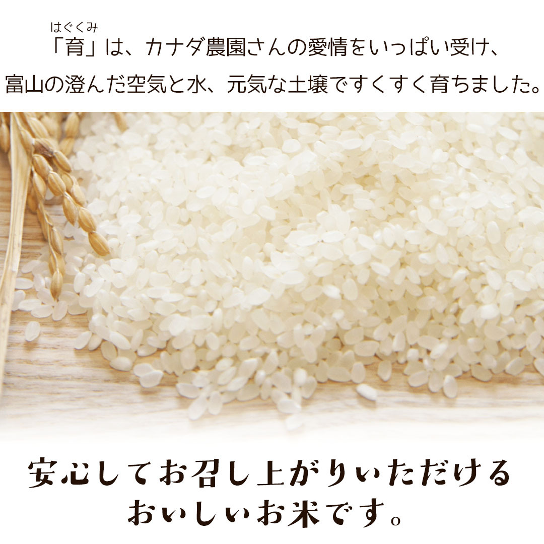 令和5年度産 こしひかり コシヒカリ 富山県産 3kg 普通米 無洗米 育 はぐくみ 　メーカー直送品