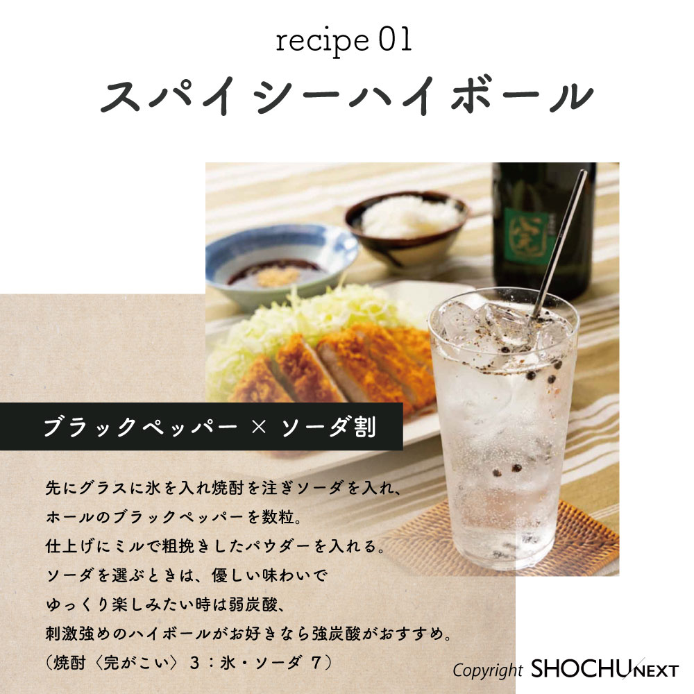 スパイシーハイボールレシピ