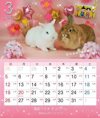 2017年 風船うさぎ モコちゃんカレンダー 1冊 : なおたんの 2017年 風船うさぎ モコちゃんカレンダー 1冊 : なおたんの