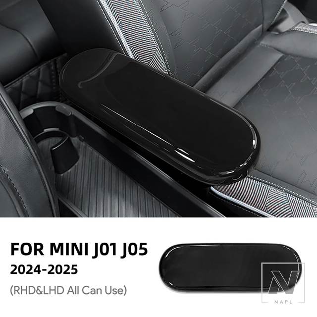 並行輸入品 ミニクーパー E/SE J01 EV ACEMAN J05 2024 2025 カー