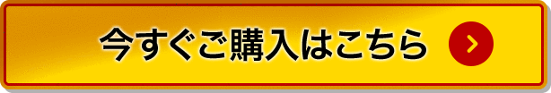 今すぐ購入