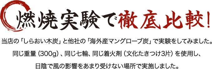 燃焼実験で徹底比較！