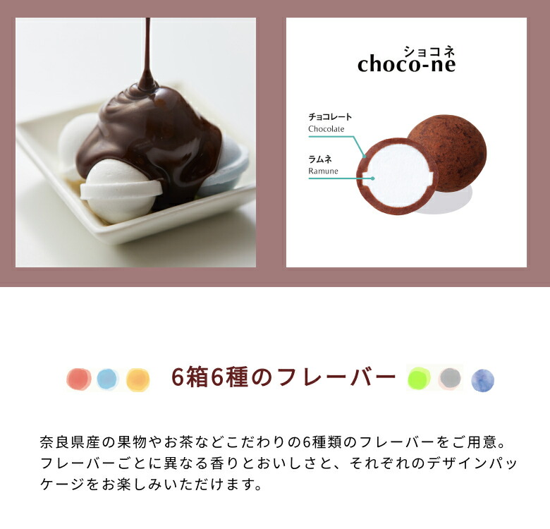 敬老の日 ギフト 洋菓子 choco-ne ショコネ6箱セット いちご