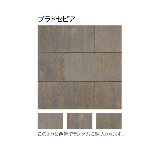 透水性 舗装材 プラーガペイブ 6枚セット 300×300×60mm インター