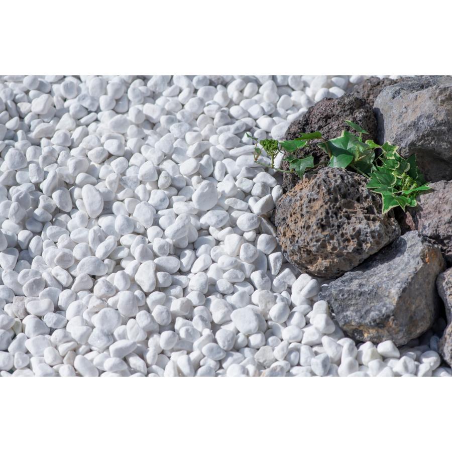 火山岩 溶岩石 ボルカブラック 10kg アクアリウム ロックガーデン 庭石