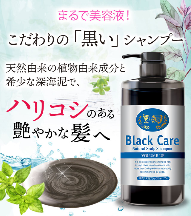 ブラックケアシャンプー 600ｍl 1本 ヘアケア 美容液 ※新ボトルでのお