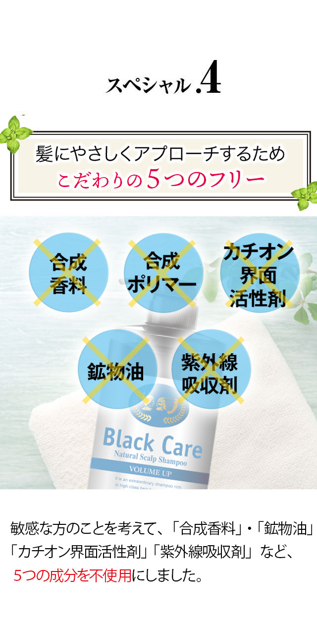 ヴェルセ ブラックケア ナチュラル スカルプシャンプーG 600ml 2個セット ヴェルセ ブラックケア ナチュラル スカルプシャンプーG 600ml 2