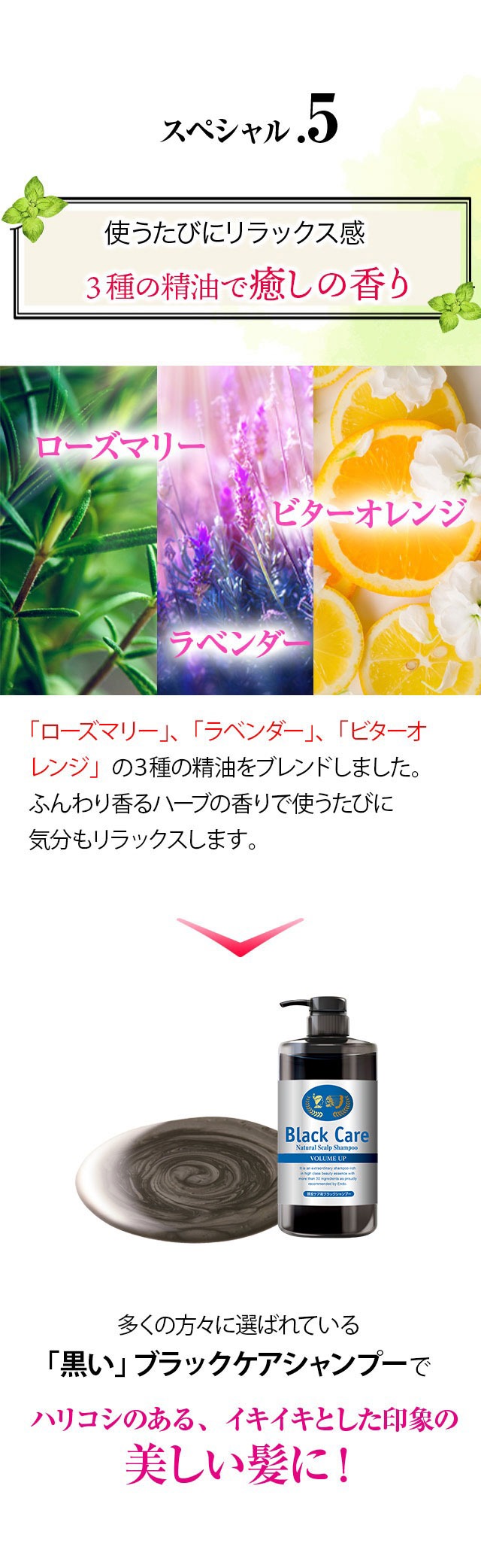 Black Care ブラックケアシャンプーKD 600ml 6本セット リンス